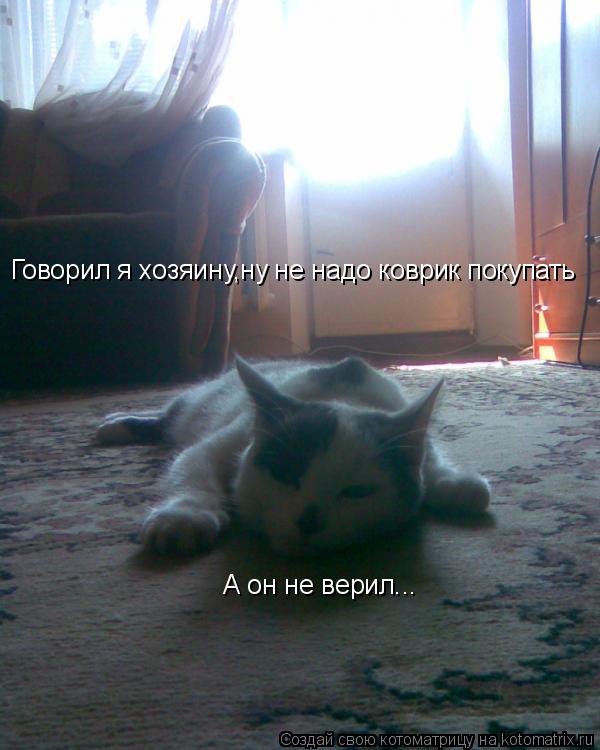 Котоматрица: Говорил я хозяину,ну не надо коврик покупать А он не верил...