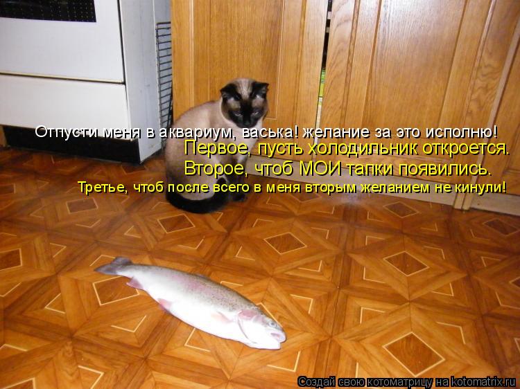 Котоматрица: Первое, пусть холодильник откроется. Второе, чтоб МОИ тапки появились. Третье, чтоб после всего в меня вторым желанием не кинули! Отпусти ме