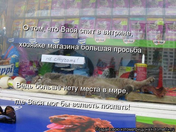 О том, что Вася спит в витрине, Ведь больше нету места в мире, где Вася мог бы всласть поспать! хо... Котоматрица: О том, что Вася спит в витрине, Ведь больше нету места в мире, где Вася мог бы всласть поспать! хозяйке магазина большая просьба