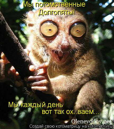 Мы потомственные Долгопяты! Мы каждый день вот так ох..ваем...... Котоматрица: Мы потомственные Долгопяты! Мы каждый день вот так ох..ваем...