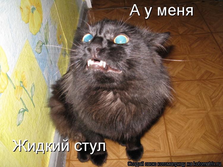 А у меня Жидкий стул... Котоматрица: А у меня Жидкий стул