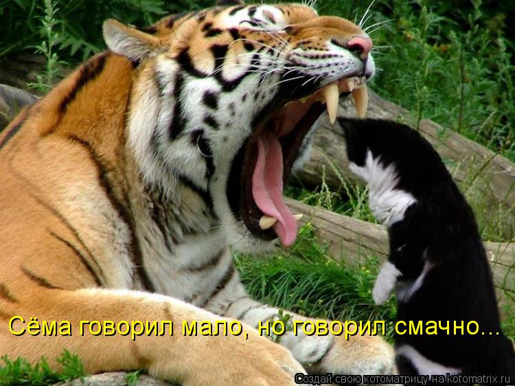 Сёма говорил мало, но говорил смачно...... Котоматрица: Сёма говорил мало, но говорил смачно...
