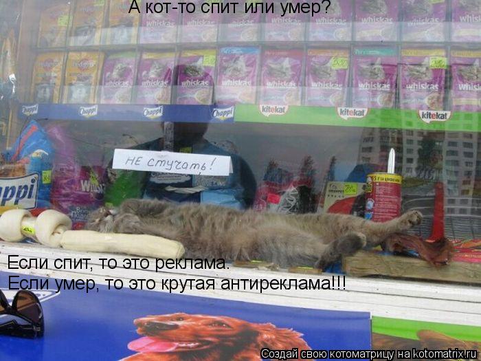 А кот-то спит или умер? Если спит, то это реклама. Если умер, то это крутая антиреклама!!!... Котоматрица: А кот-то спит или умер? Если спит, то это реклама. Если умер, то это крутая антиреклама!!!