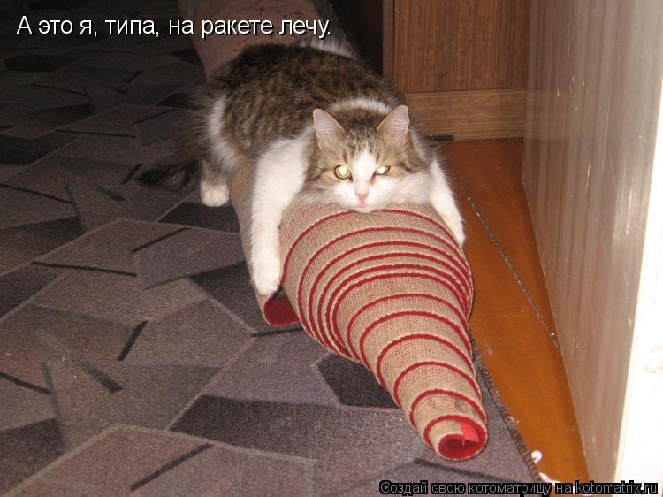 А это я, типа, на ракете лечу.... Котоматрица: А это я, типа, на ракете лечу.