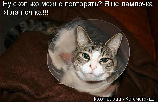 Ну сколько можно повторять? Я не лампочка. Я ла-поч-ка!!!... Котоматрица: Ну сколько можно повторять? Я не лампочка. Я ла-поч-ка!!!
