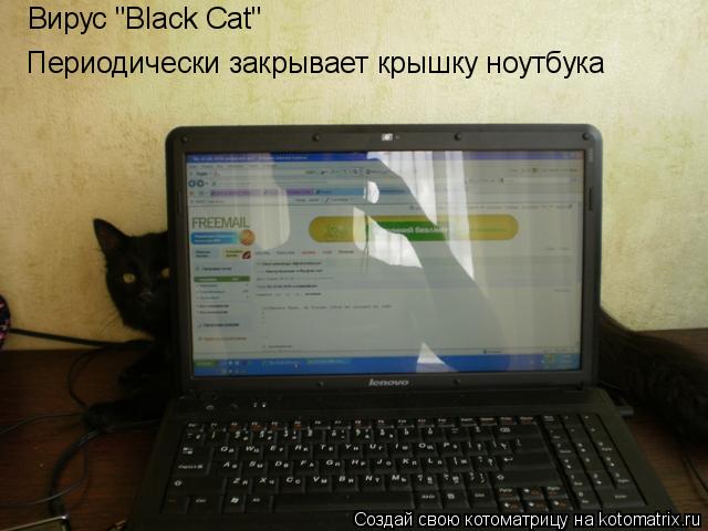 Котоматрица: Вирус "Black Cat" Периодически закрывает крышку ноутбука