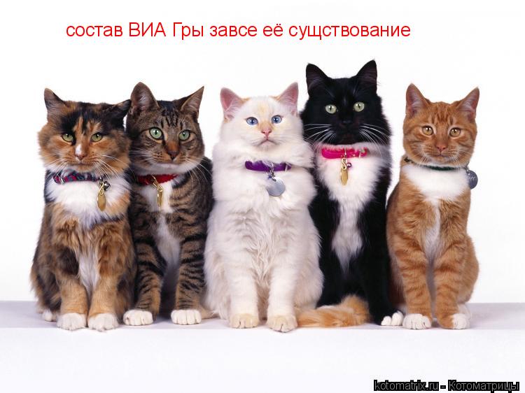 Котоматрица: состав ВИА Гры завсе её сущствование