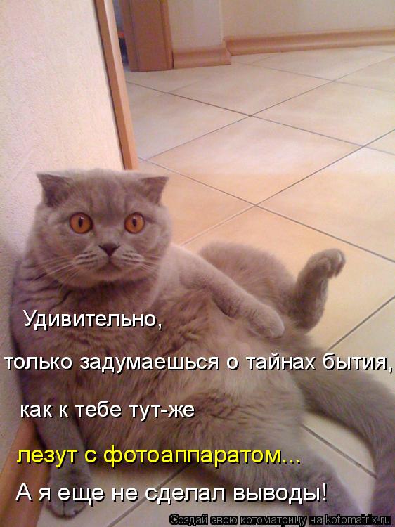 Удивительно, только задумаешься о тайнах бытия, как к тебе тут-же лезут с фотоаппаратом... А я еще н... Котоматрица: Удивительно, только задумаешься о тайнах бытия, как к тебе тут-же лезут с фотоаппаратом... А я еще не сделал выводы!