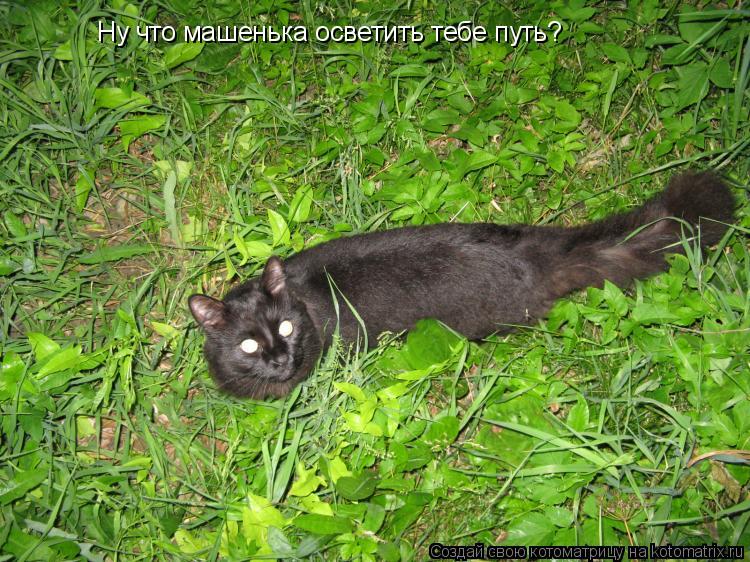 Ну что машенька осветить тебе путь?... Котоматрица: Ну что машенька осветить тебе путь?