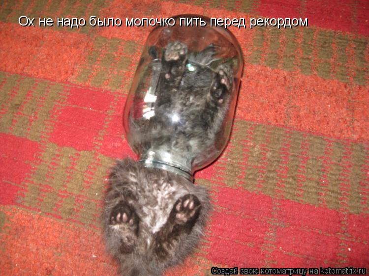 Ох не надо было молочко пить перед рекордом... Котоматрица: Ох не надо было молочко пить перед рекордом