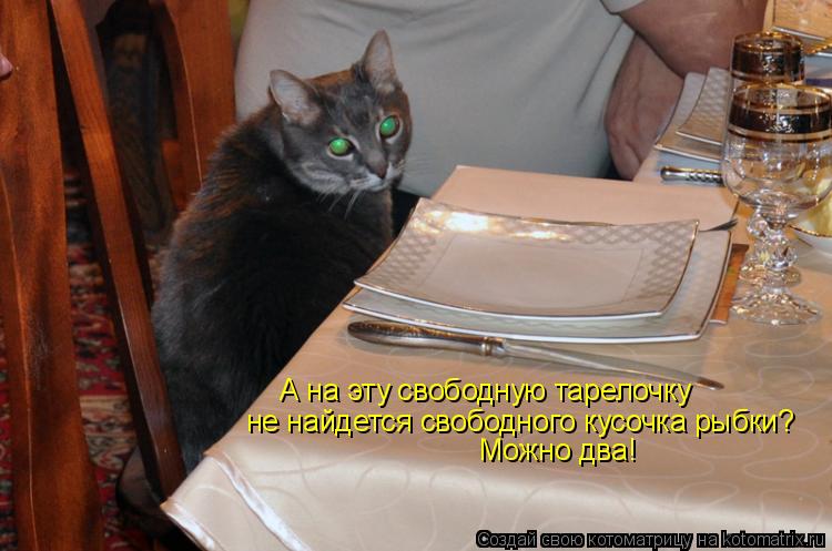 А на эту свободную тарелочку не найдется свободного кусочка рыбки? Можно два!... Котоматрица: А на эту свободную тарелочку не найдется свободного кусочка рыбки? Можно два!