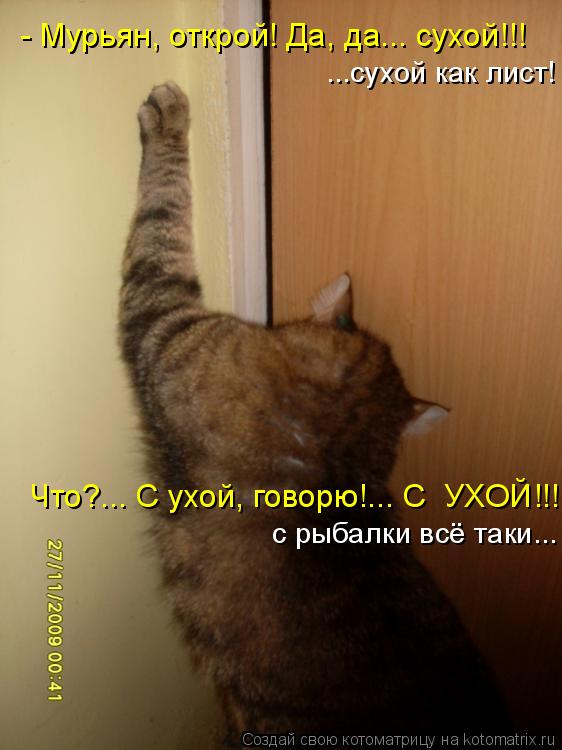 - Мурьян, открой! Да, да... сухой!!! Что?... С ухой, говорю!... С УХОЙ!!! с рыбалки всё таки... ...с... Котоматрица: - Мурьян, открой! Да, да... сухой!!! Что?... С ухой, говорю!... С УХОЙ!!! с рыбалки всё таки... ...сухой как лист!