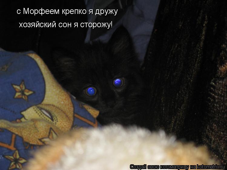 с Морфеем крепко я дружу хозяйский сон я сторожу!... Котоматрица: с Морфеем крепко я дружу хозяйский сон я сторожу!