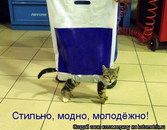 Стильно, модно, молодёжно!... Котоматрица: Стильно, модно, молодёжно!