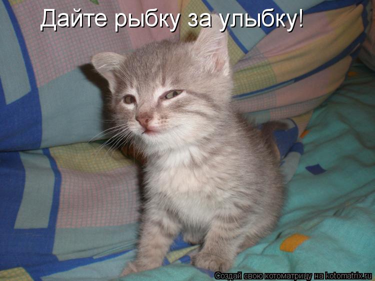 Дайте рыбку за улыбку!... Котоматрица: Дайте рыбку за улыбку!
