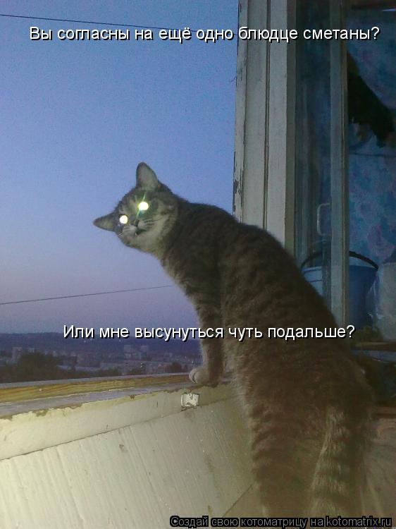 Или мне высунуться чуть подальше? Вы согласны на ещё одно блюдце сметаны?... Котоматрица: Или мне высунуться чуть подальше? Вы согласны на ещё одно блюдце сметаны?