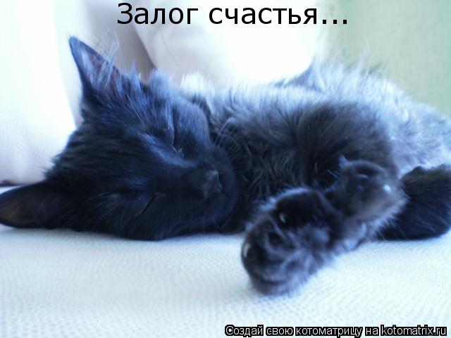 Залог счастья...... Котоматрица: Залог счастья...