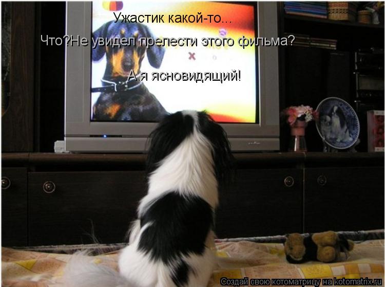 Ужастик какой-то... Что?Не увидел прелести этого фильма? А я ясновидящий!... Котоматрица: Ужастик какой-то... Что?Не увидел прелести этого фильма? А я ясновидящий!