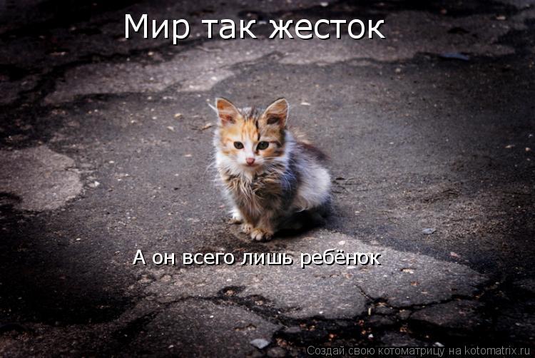 Мир так жесток А он всего лишь ребёнок... Котоматрица: Мир так жесток А он всего лишь ребёнок