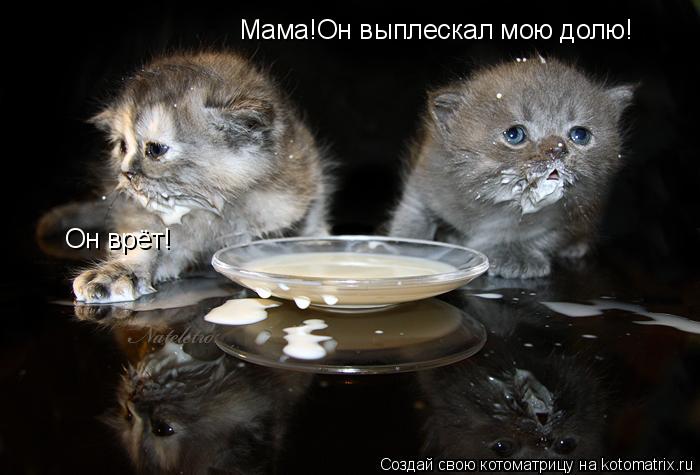 Мама!Он выплескал мою долю! Он врёт!... Котоматрица: Мама!Он выплескал мою долю! Он врёт!