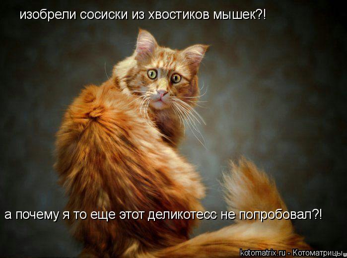 изобрели сосиски из хвостиков мышек?! а почему я то еще этот деликотесс не попробовал?!... Котоматрица: изобрели сосиски из хвостиков мышек?! а почему я то еще этот деликотесс не попробовал?!