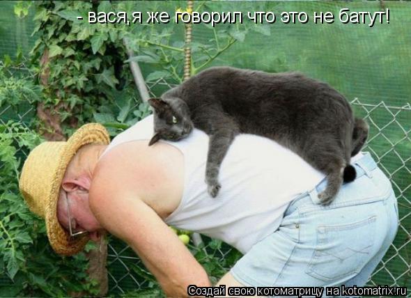 - вася,я же говорил что это не батут!... Котоматрица: - вася,я же говорил что это не батут!