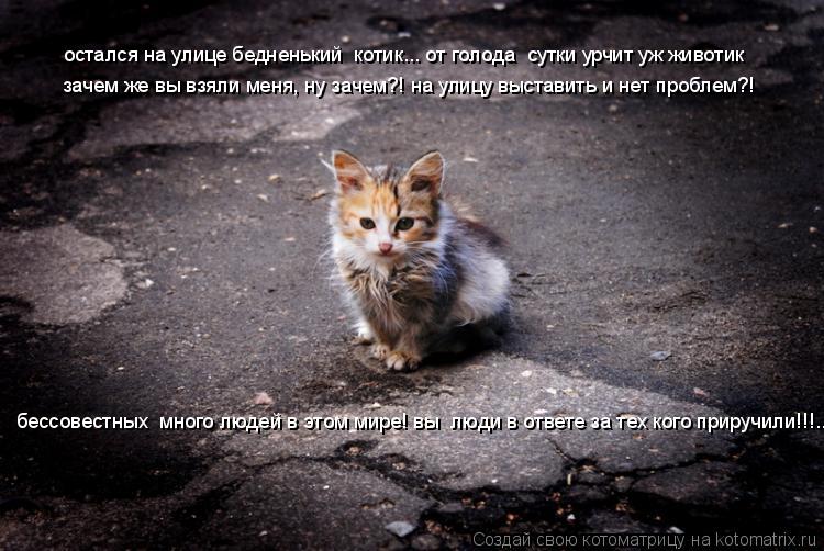 остался на улице бедненький котик... от голода сутки урчит уж животик зачем же вы взяли меня, ну за... Котоматрица: остался на улице бедненький котик... от голода сутки урчит уж животик зачем же вы взяли меня, ну зачем?! на улицу выставить и нет проблем?! бе