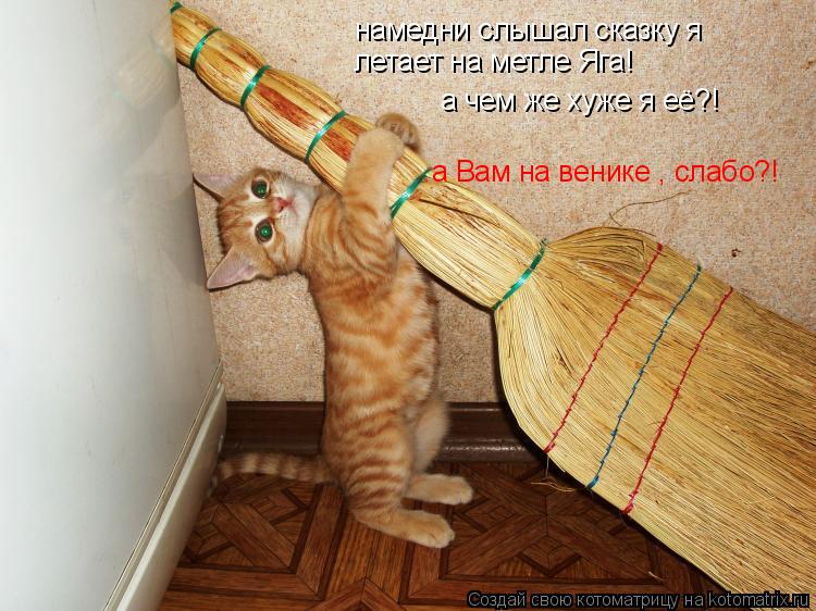 намедни слышал сказку я летает на метле Яга! а чем же хуже я её?! а Вам на венике , слабо?!... Котоматрица: намедни слышал сказку я летает на метле Яга! а чем же хуже я её?! а Вам на венике , слабо?!