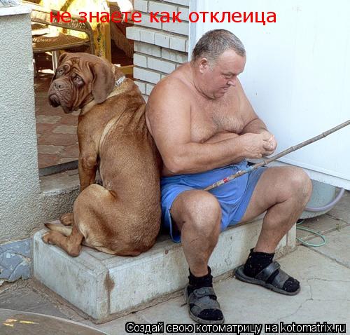 не знаете как отклеица... Котоматрица: не знаете как отклеица