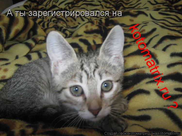 А ты зарегистрировался на kotomatrix.ru ?... Котоматрица: А ты зарегистрировался на kotomatrix.ru ?