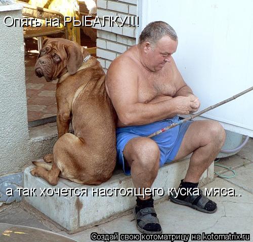 Опять на РЫБАЛКУ!!! а так хочется настоящего куска мяса..... Котоматрица: Опять на РЫБАЛКУ!!! а так хочется настоящего куска мяса..