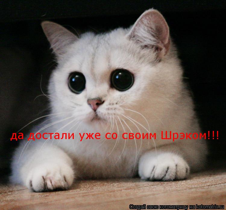 Котоматрица: да достали уже со своим Шрэком!!!