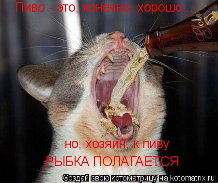 Котоматрица: Пиво - это, конечно, хорошо.... но, хозяин, к пиву РЫБКА ПОЛАГАЕТСЯ