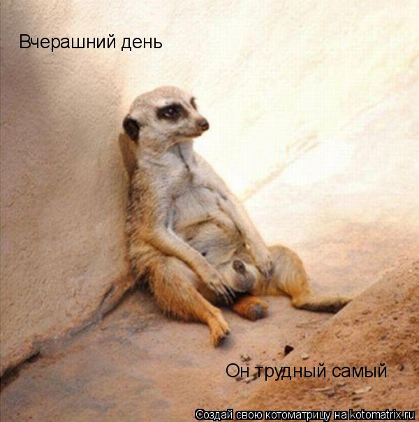 Котоматрица: Вчерашний день Он трудный самый