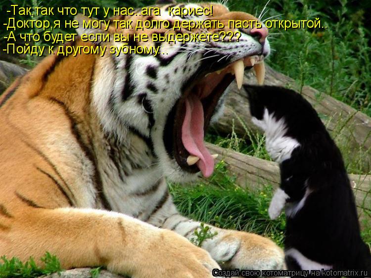 Котоматрица: -Так,так что тут у нас..ага  кариес! -Доктор,я не могу так долго держать пасть открытой.. -А что будет если вы не выдержете??? -Пойду к другому зуб