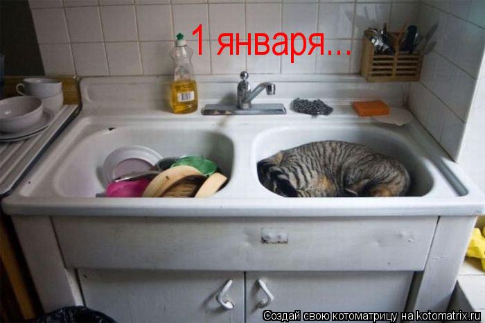 Котоматрица: 1 января...