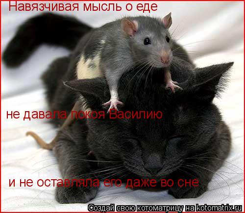 Навязчивая мысль о еде не давала покоя Василию и не оставляла его даже во сне... Котоматрица: Навязчивая мысль о еде не давала покоя Василию и не оставляла его даже во сне