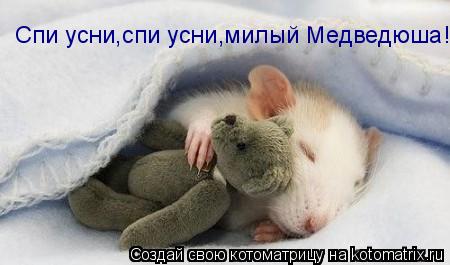 Спи усни,спи усни,милый Медведюша!... Котоматрица: Спи усни,спи усни,милый Медведюша!