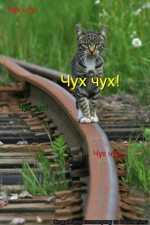 Чух чух! Чух чух! Чух чух! Чух чух!... Котоматрица: Чух чух! Чух чух! Чух чух! Чух чух!