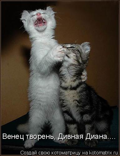 Венец творень, Дивная Диана....... Котоматрица: Венец творень, Дивная Диана....