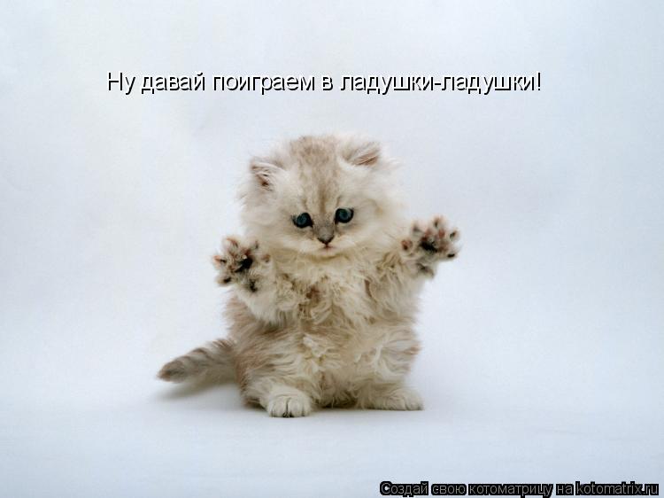 Ну давай поиграем в ладушки-ладушки!... Котоматрица: Ну давай поиграем в ладушки-ладушки!