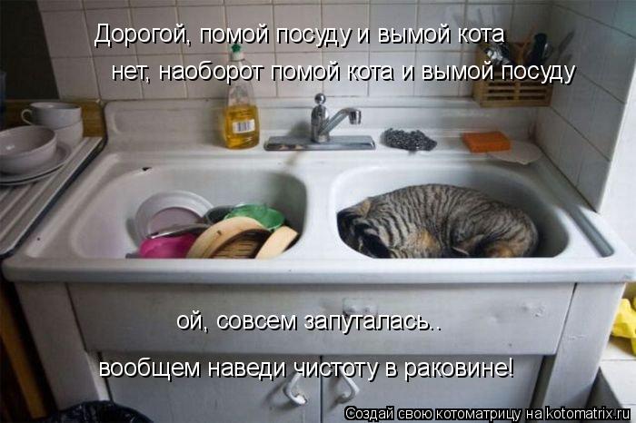 Дорогой, помой посуду и вымой кота нет, наоборот помой кота и вымой посуду ой, совсем запуталась.. в... Котоматрица: Дорогой, помой посуду и вымой кота нет, наоборот помой кота и вымой посуду ой, совсем запуталась.. вообщем наведи чистоту в раковине!