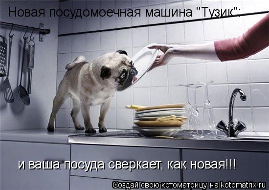 Новая посудомоечная машина "Тузик": и ваша посуда сверкает, как новая!!!... Котоматрица: Новая посудомоечная машина "Тузик": и ваша посуда сверкает, как новая!!!