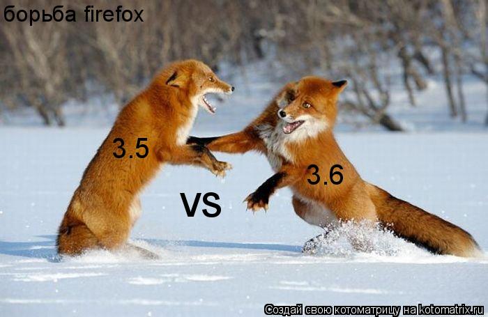 борьба firefox 3.5 vs 3.6... Котоматрица: борьба firefox 3.5 vs 3.6