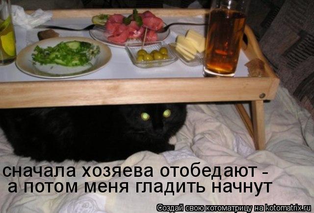 сначала хозяева отобедают а потом меня гладить начнут -... Котоматрица: сначала хозяева отобедают а потом меня гладить начнут -