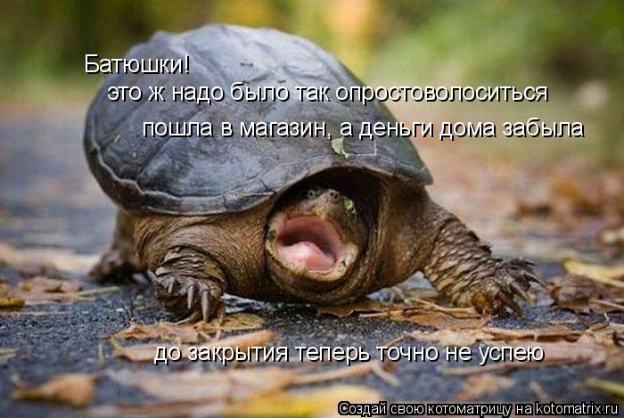 Батюшки! это ж надо было так опростоволоситься пошла в магазин, а деньги дома забыла до закрытия тепе... Котоматрица: Батюшки! это ж надо было так опростоволоситься пошла в магазин, а деньги дома забыла до закрытия теперь точно не успею