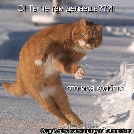Э! Ты чё там делаешь???!! это моя колбаса!... Котоматрица: Э! Ты чё там делаешь???!! это моя колбаса!
