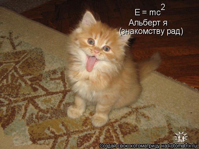 E = mc 2 Альберт я (знакомству рад)... Котоматрица: E = mc 2 Альберт я (знакомству рад)