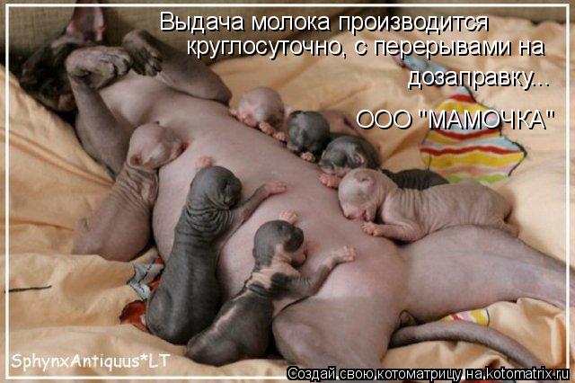 Выдача молока производится круглосуточно, с перерывами на дозаправку... ООО "МАМОЧКА"... Котоматрица: Выдача молока производится круглосуточно, с перерывами на дозаправку... ООО "МАМОЧКА"