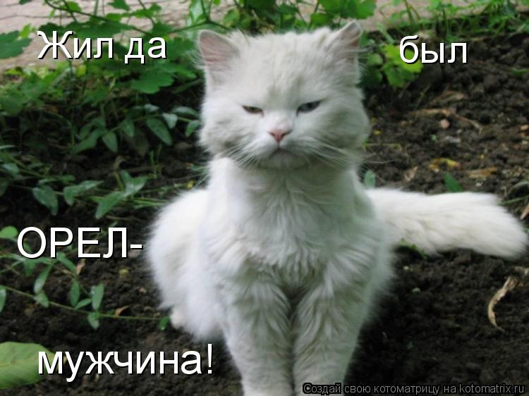 Жил да был ОРЕЛ- мужчина!... Котоматрица: Жил да был ОРЕЛ- мужчина!